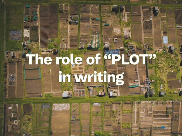 The role of Plot in Writing
